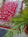 فرش ماشینی 500 شانه طرح گیلدا
