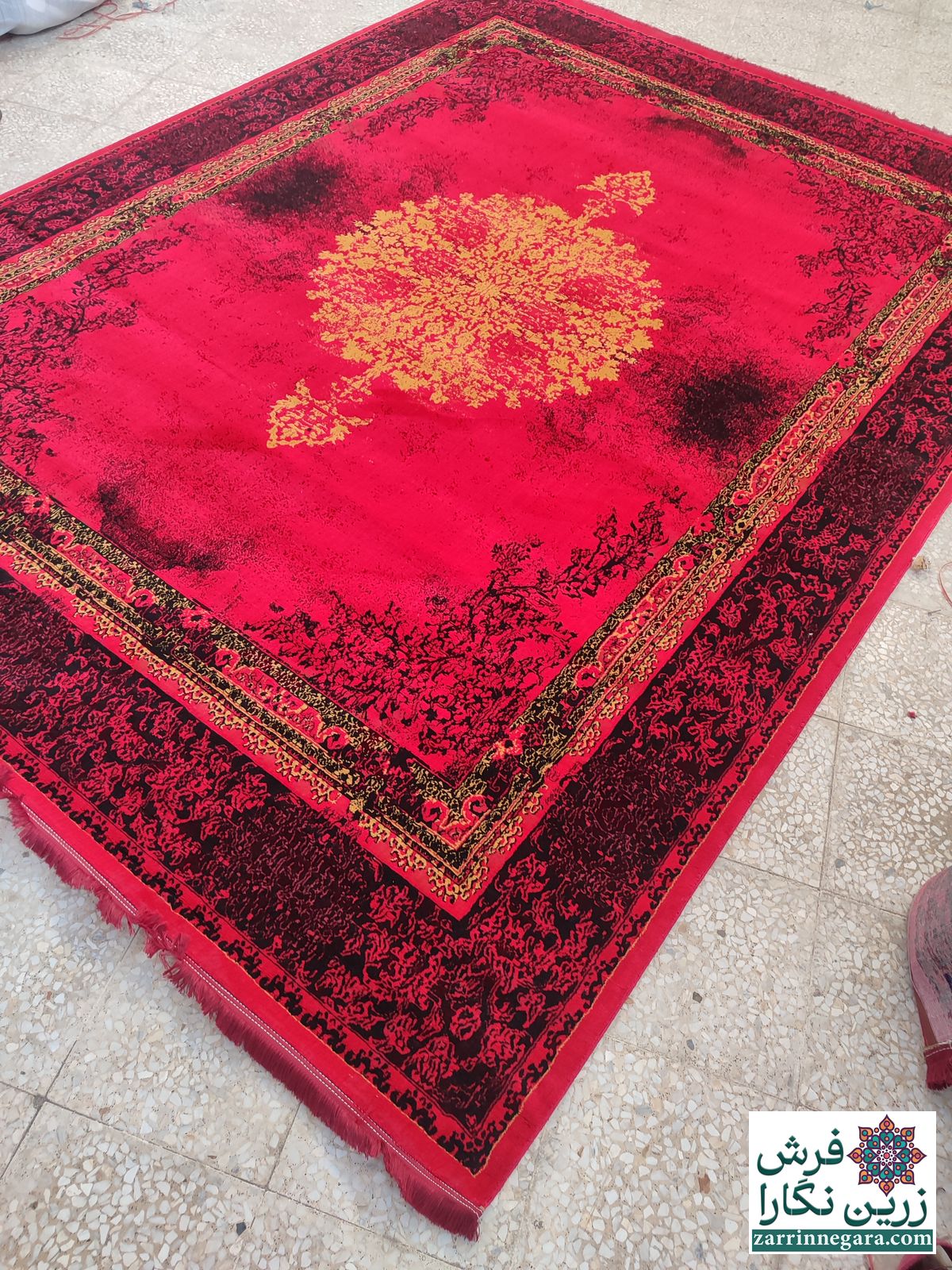 آراز لاکی