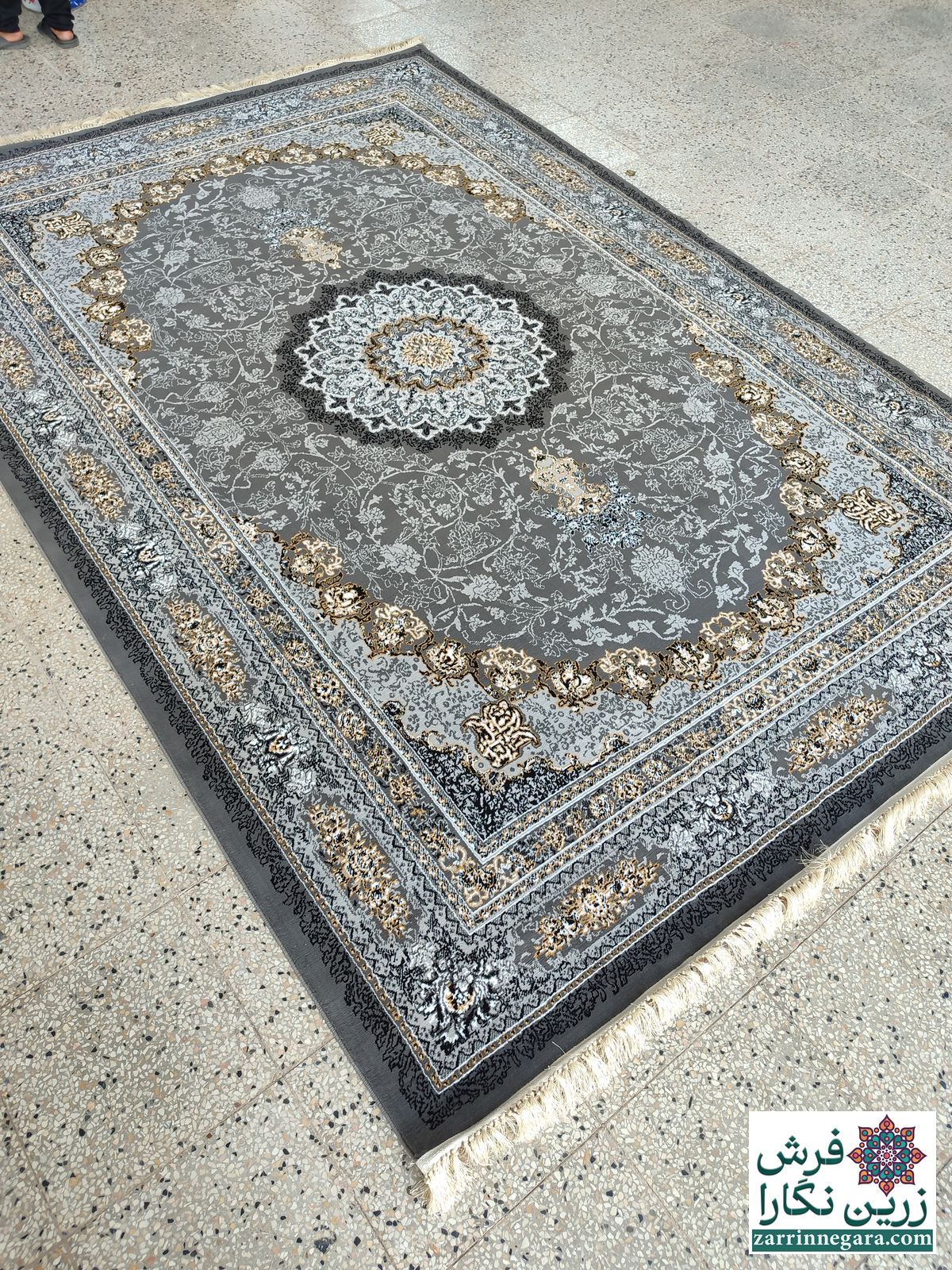 فانیس دودی
