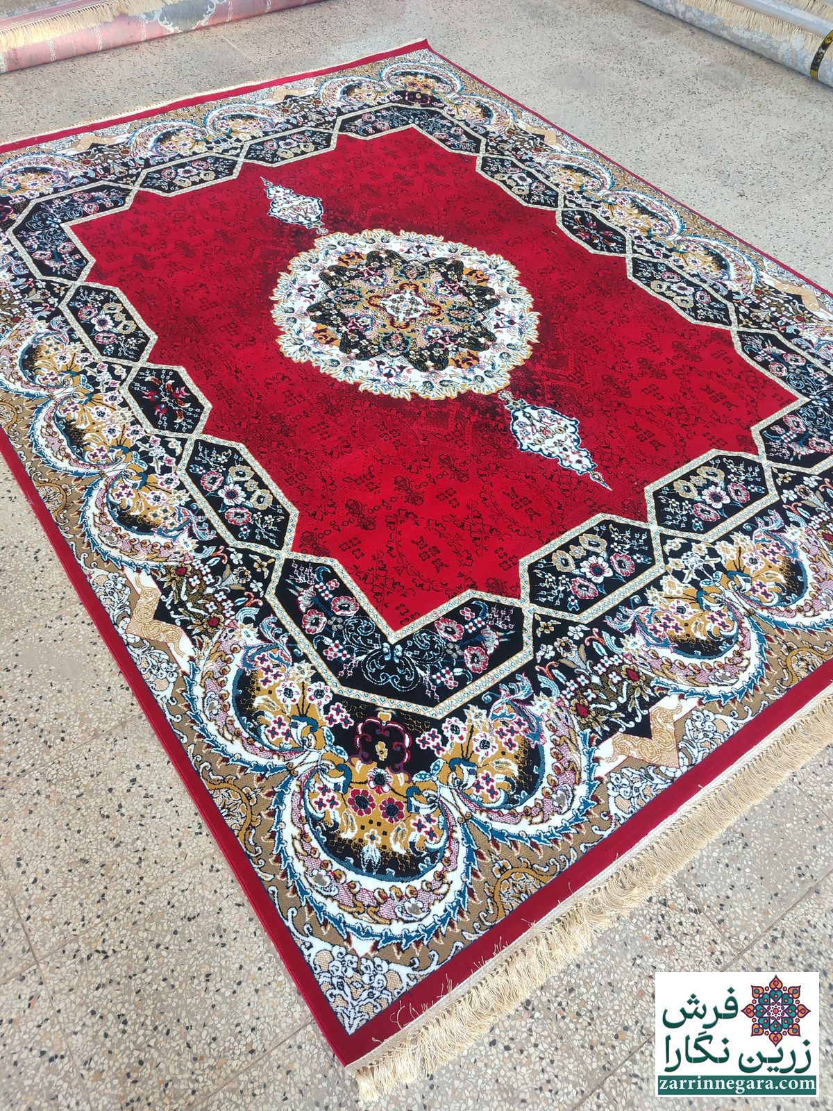 هالیدی لاکی