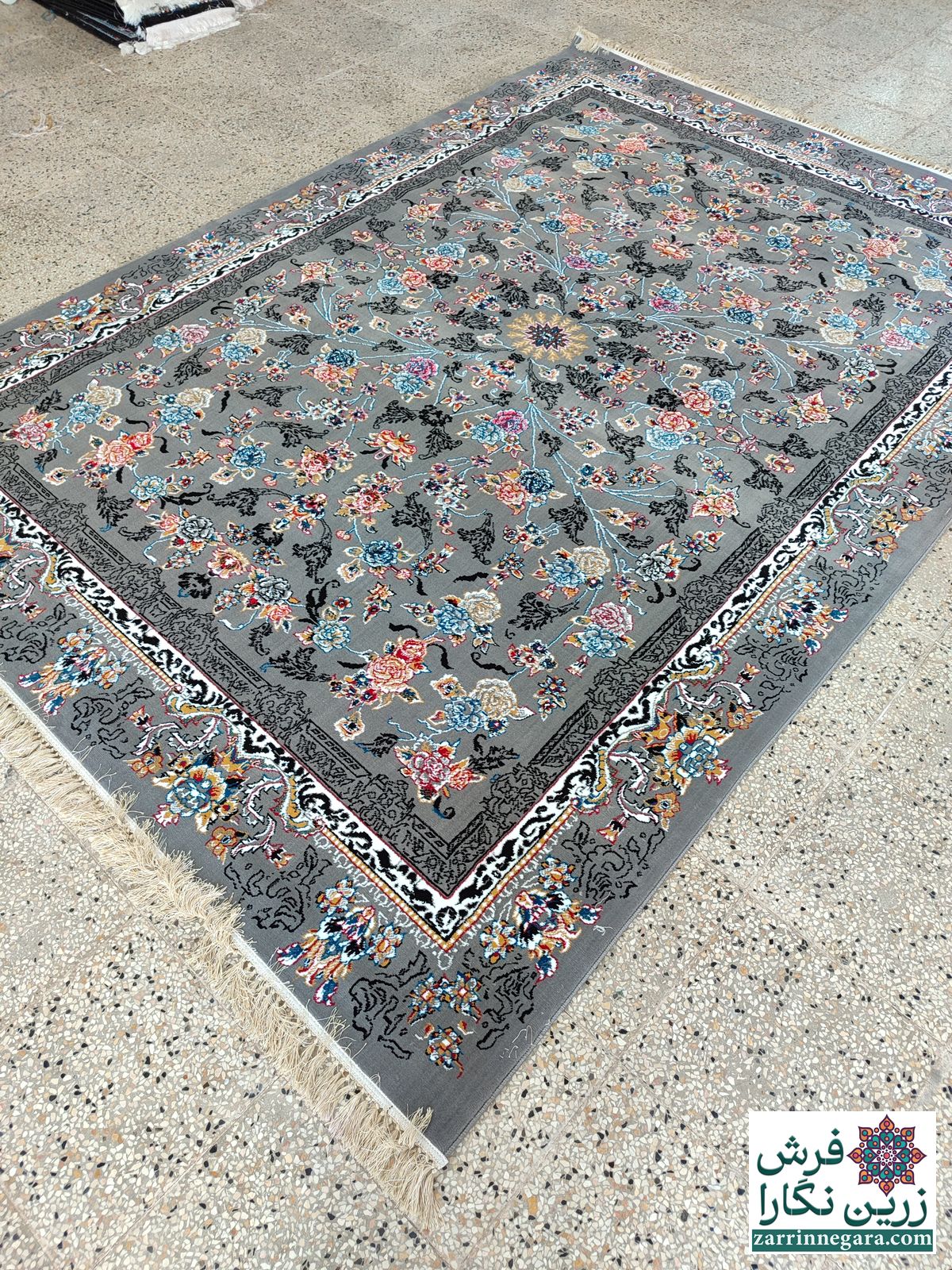 جانان فیلی