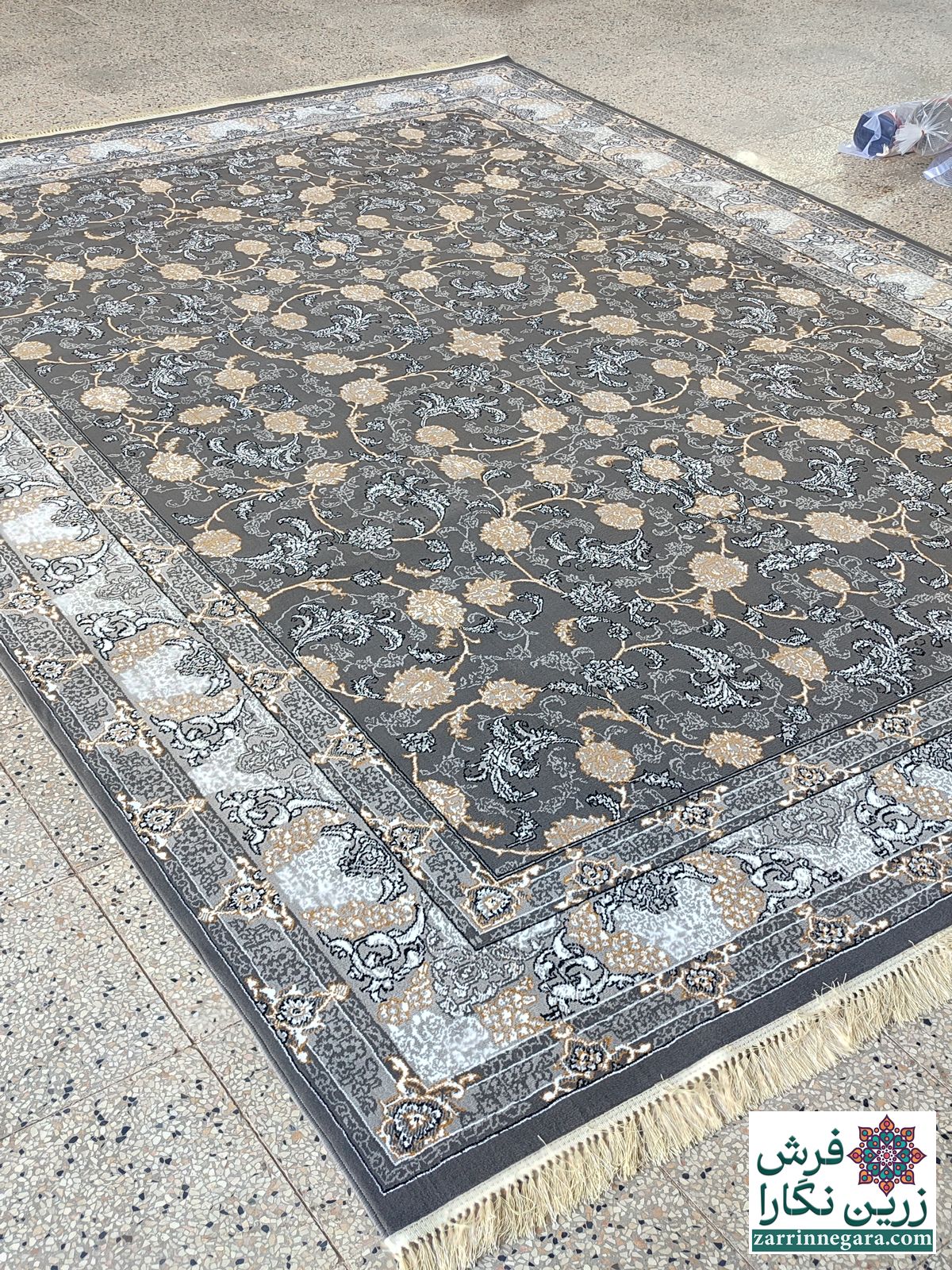 تماشا دودی