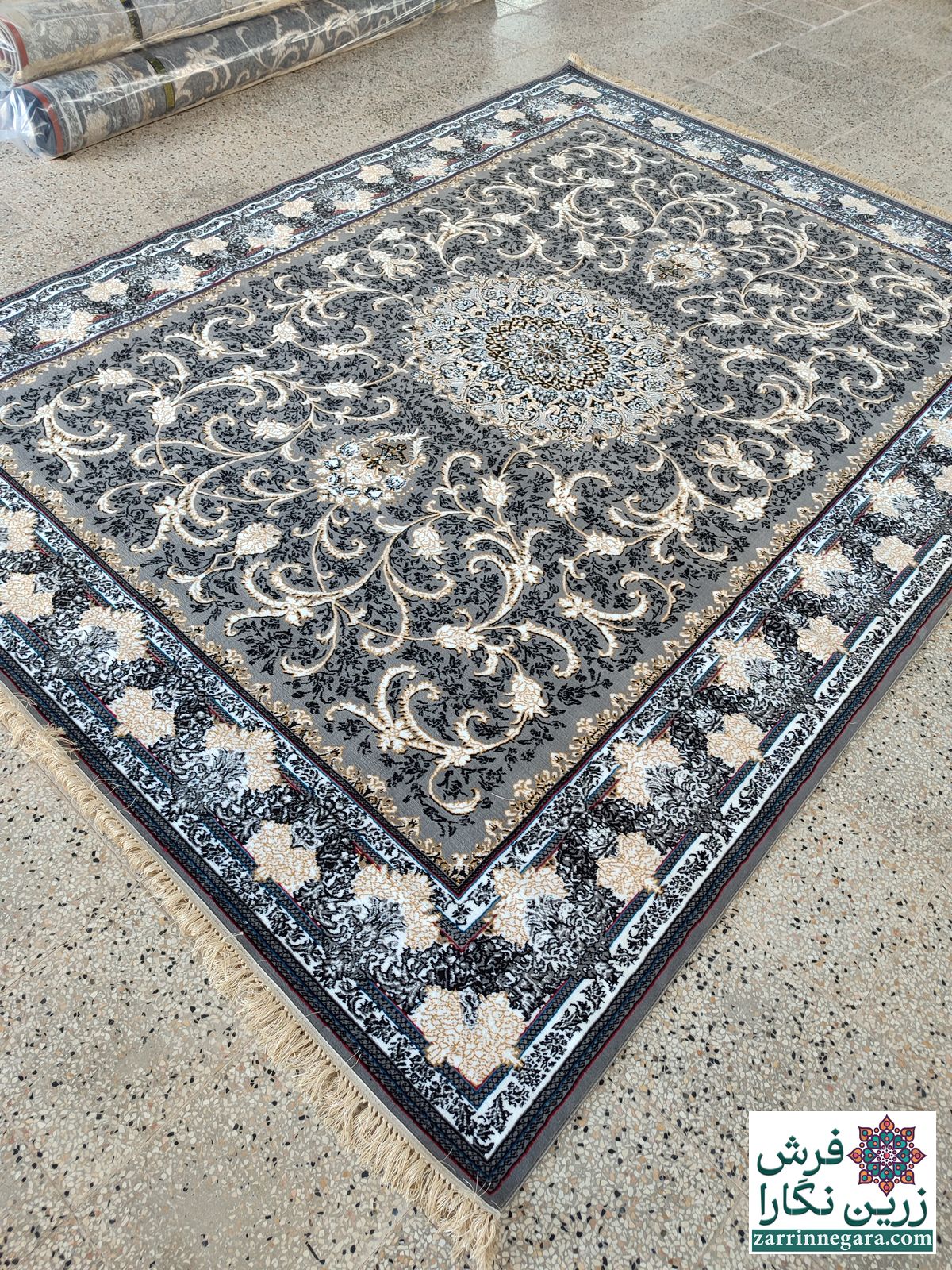تلناز دودی