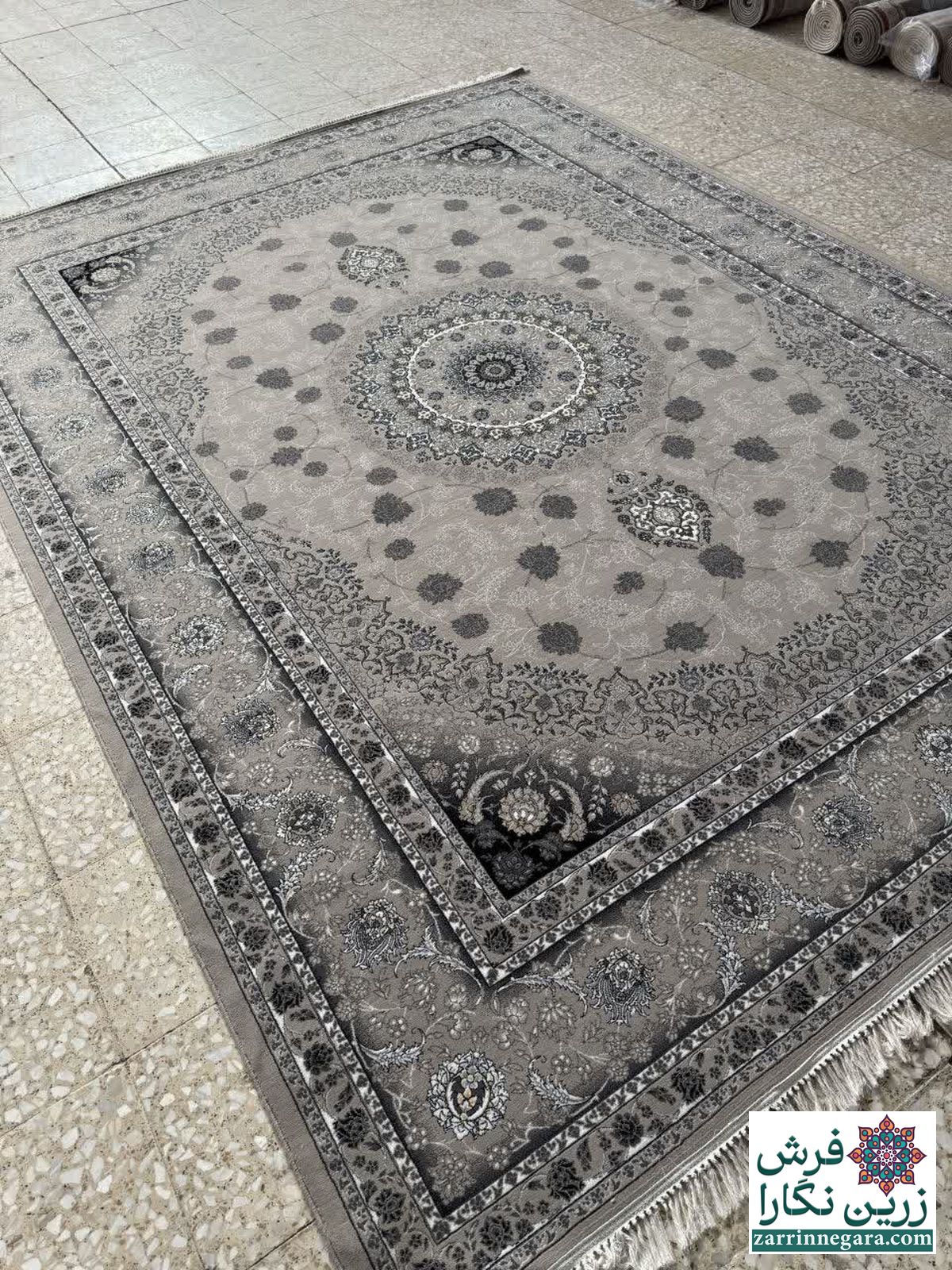 نایین فیلی