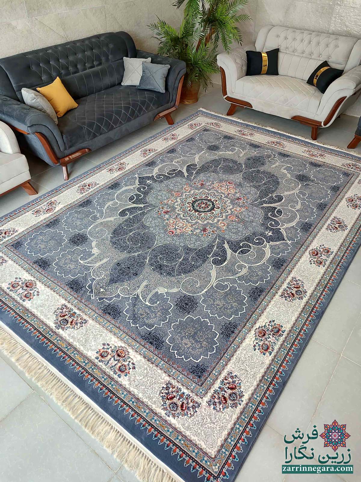 چکاوک دلفینی