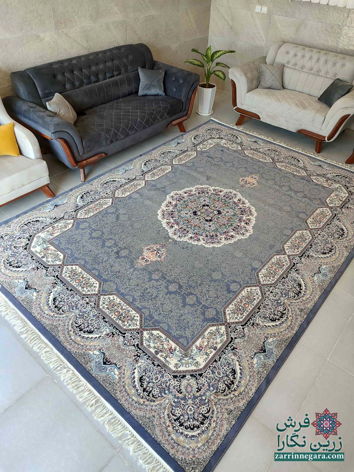 هالیدی دلفینی