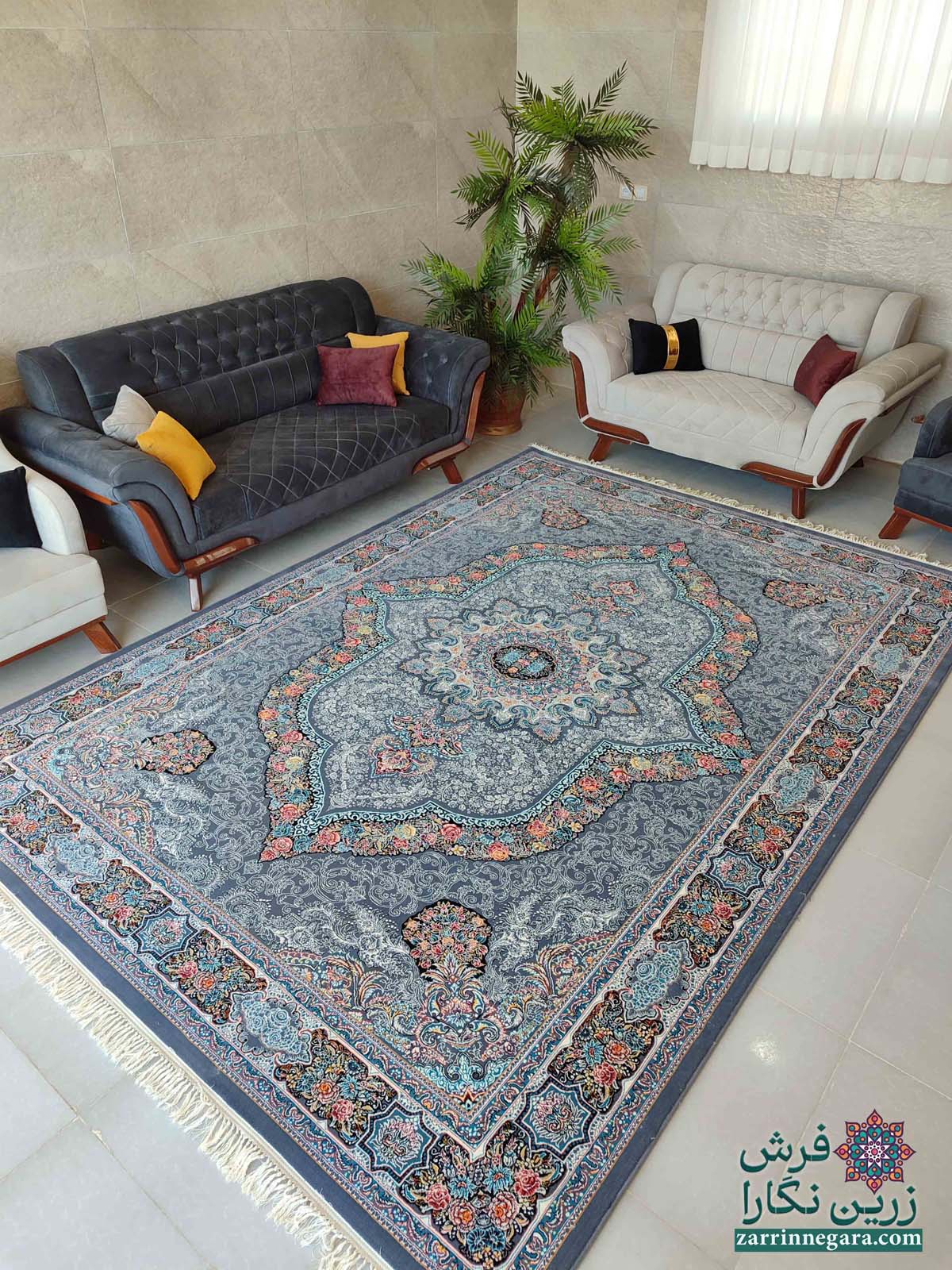 کارینا دلفینی